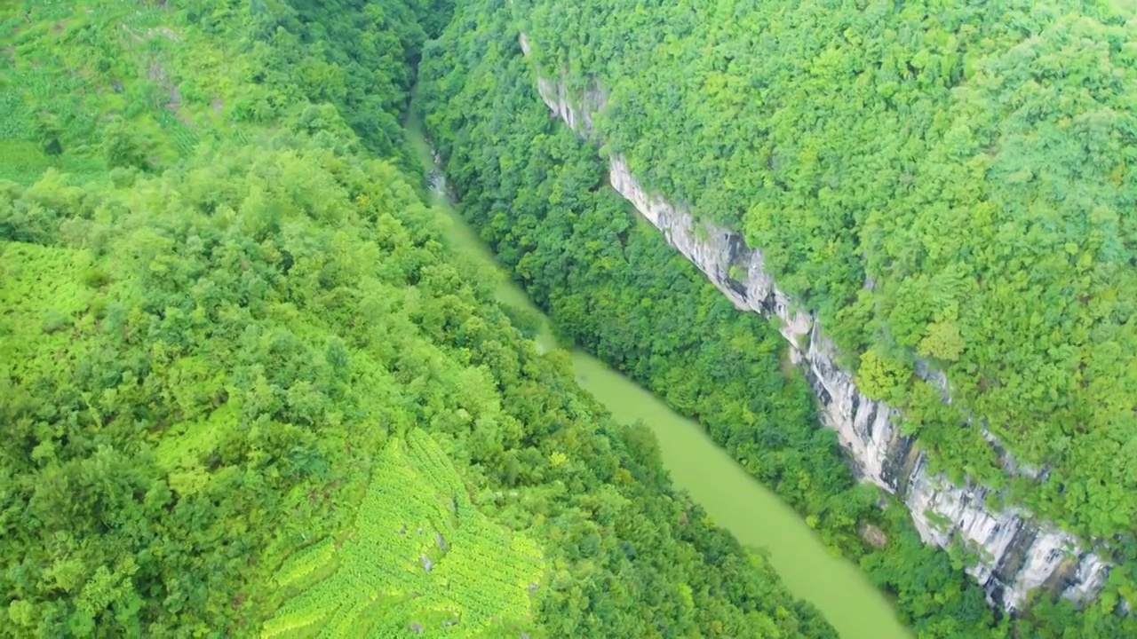 航拍贵州毕节百里杜鹃大峡谷视频素材