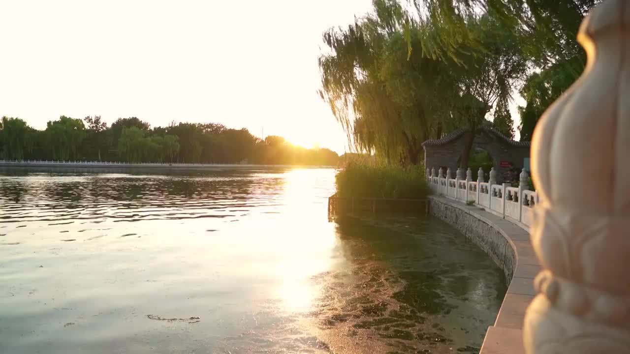 4K北京什刹海河边柳树黄昏风景固定机位视频素材