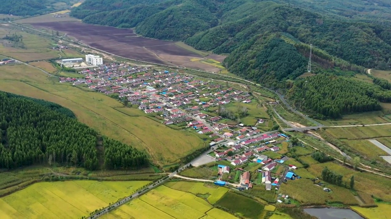 东北乡村秋天美景视频素材