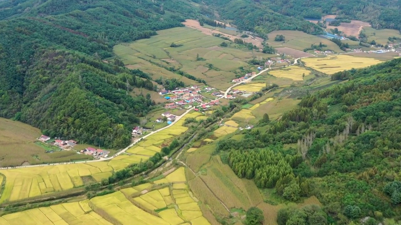 东北美丽乡村秋天景色视频素材