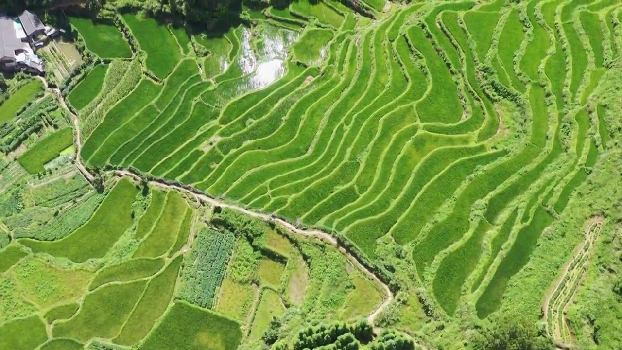 浙江丽水云和梯田日出云海景区视频素材