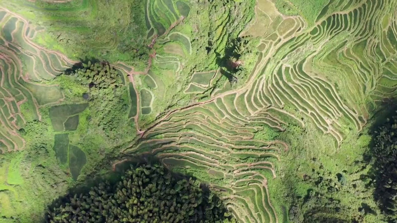 浙江丽水云和梯田七星墩景区视频素材