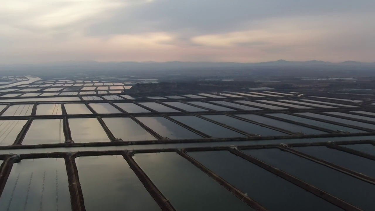 航拍大连太平湾养殖区视频素材