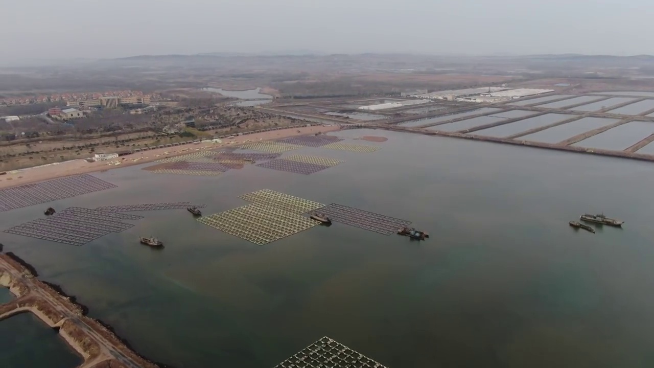 航拍大连太平湾养殖区视频素材