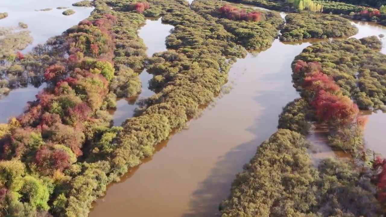 黑龙江伊春：嘉荫芭兰河河口湿地初秋视频素材