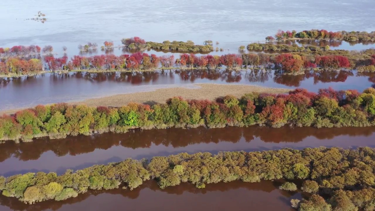 黑龙江伊春：嘉荫芭兰河河口湿地初秋视频素材