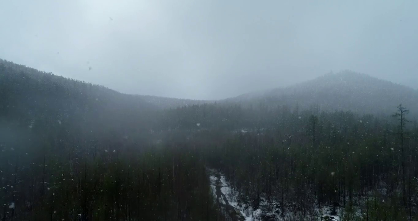 航拍大兴安岭春季极端天气降雪山林雾凇视频素材