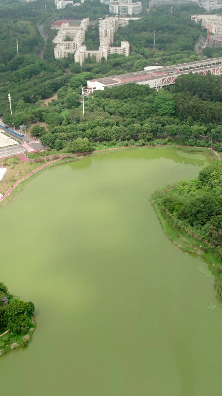 广东省广州市大学城中心湖视频素材