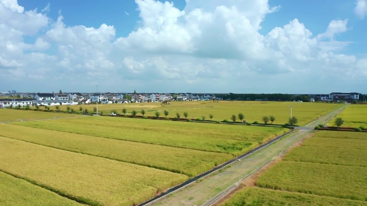 苏州北联村稻田航拍视频素材