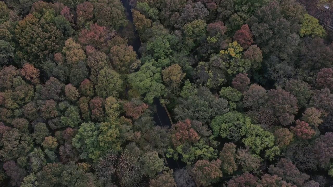 南京东郊环陵路视频素材