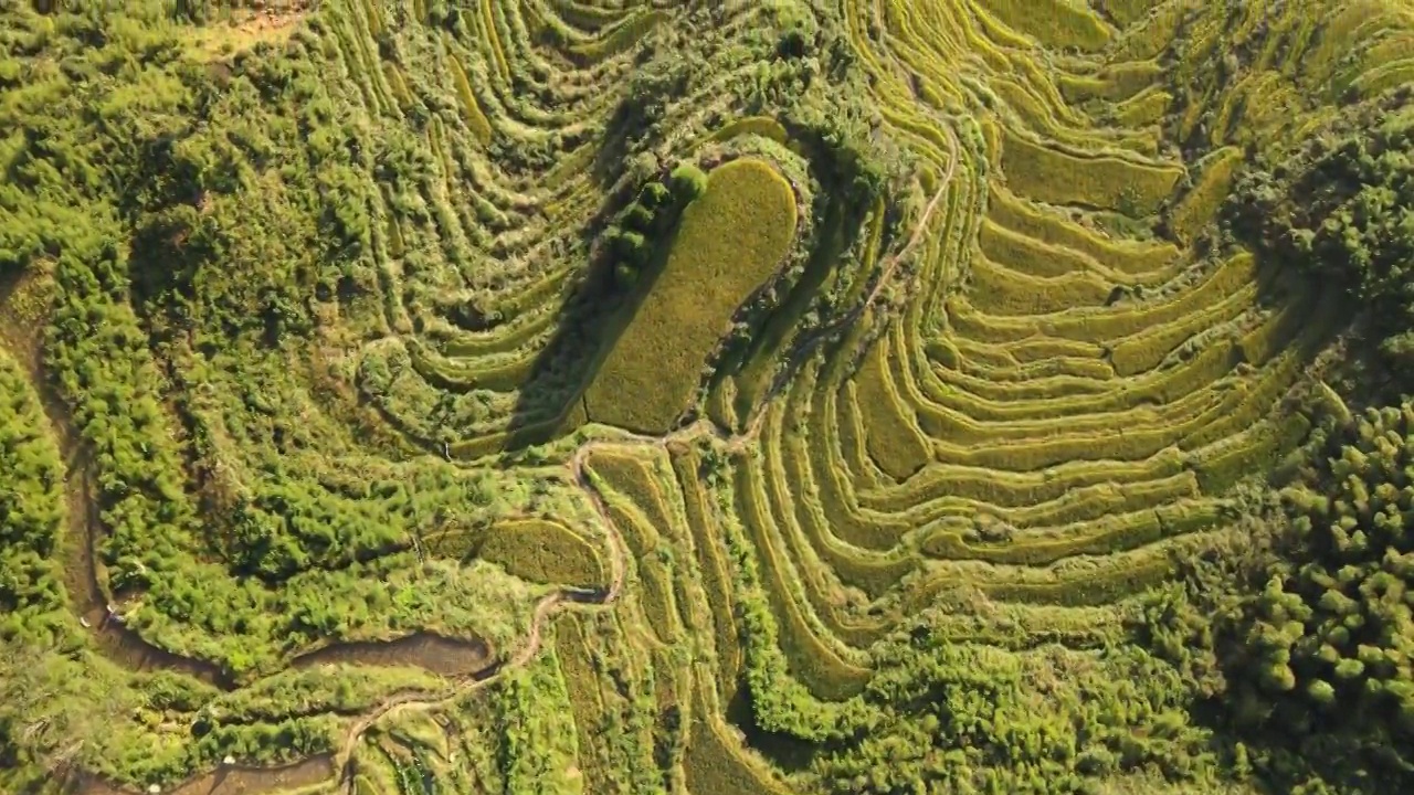 浙江丽水云和梯田景区风光大疆航拍视频素材