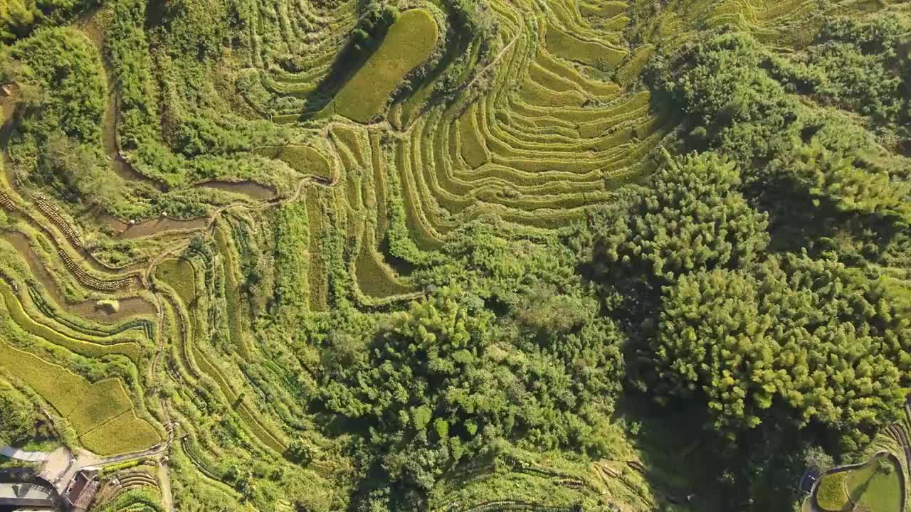 浙江丽水云和梯田景区风光大疆航拍视频素材