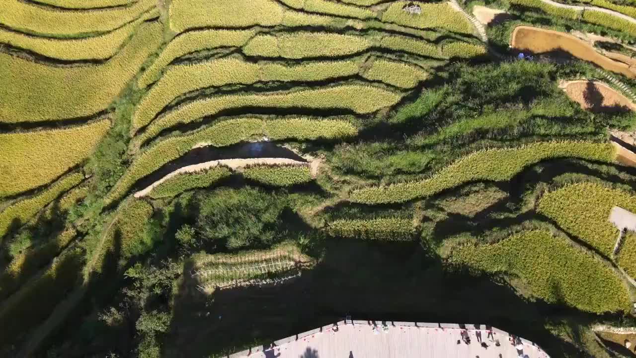 浙江丽水云和梯田景区风光大疆航拍视频素材