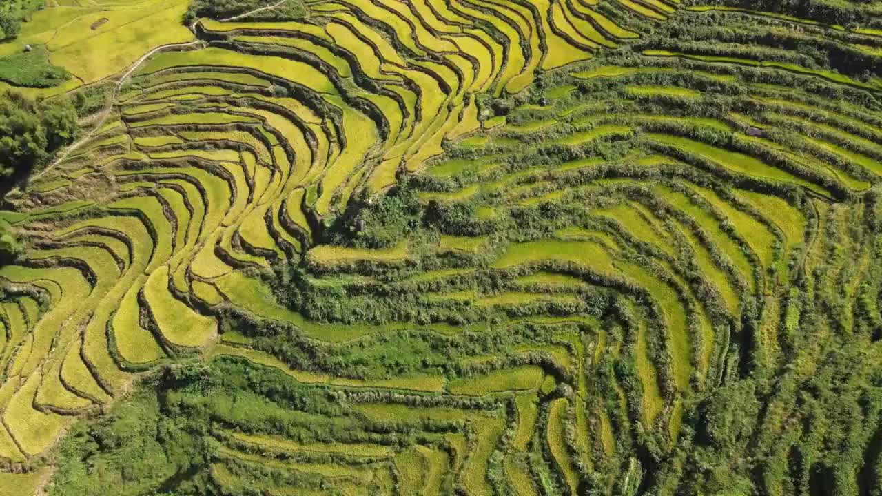 浙江丽水云和梯田景区风光大疆航拍视频素材