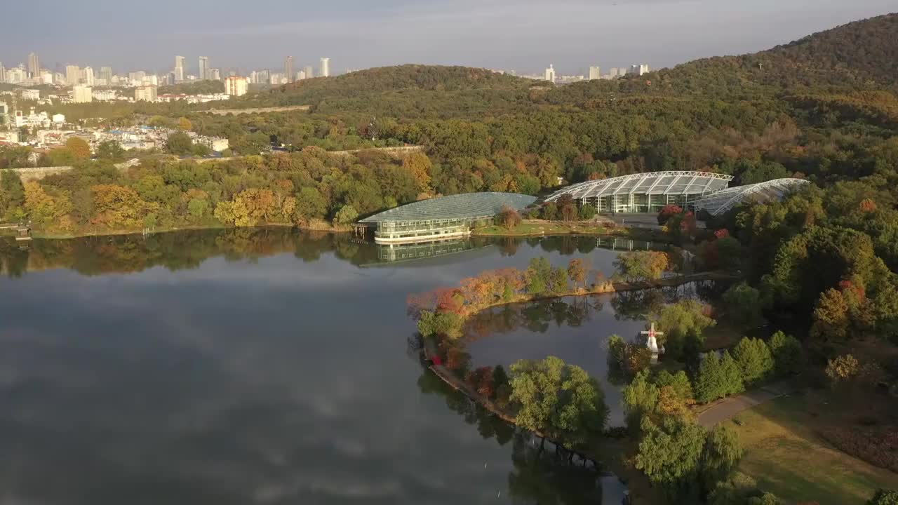 南京东郊植物园秋色视频素材