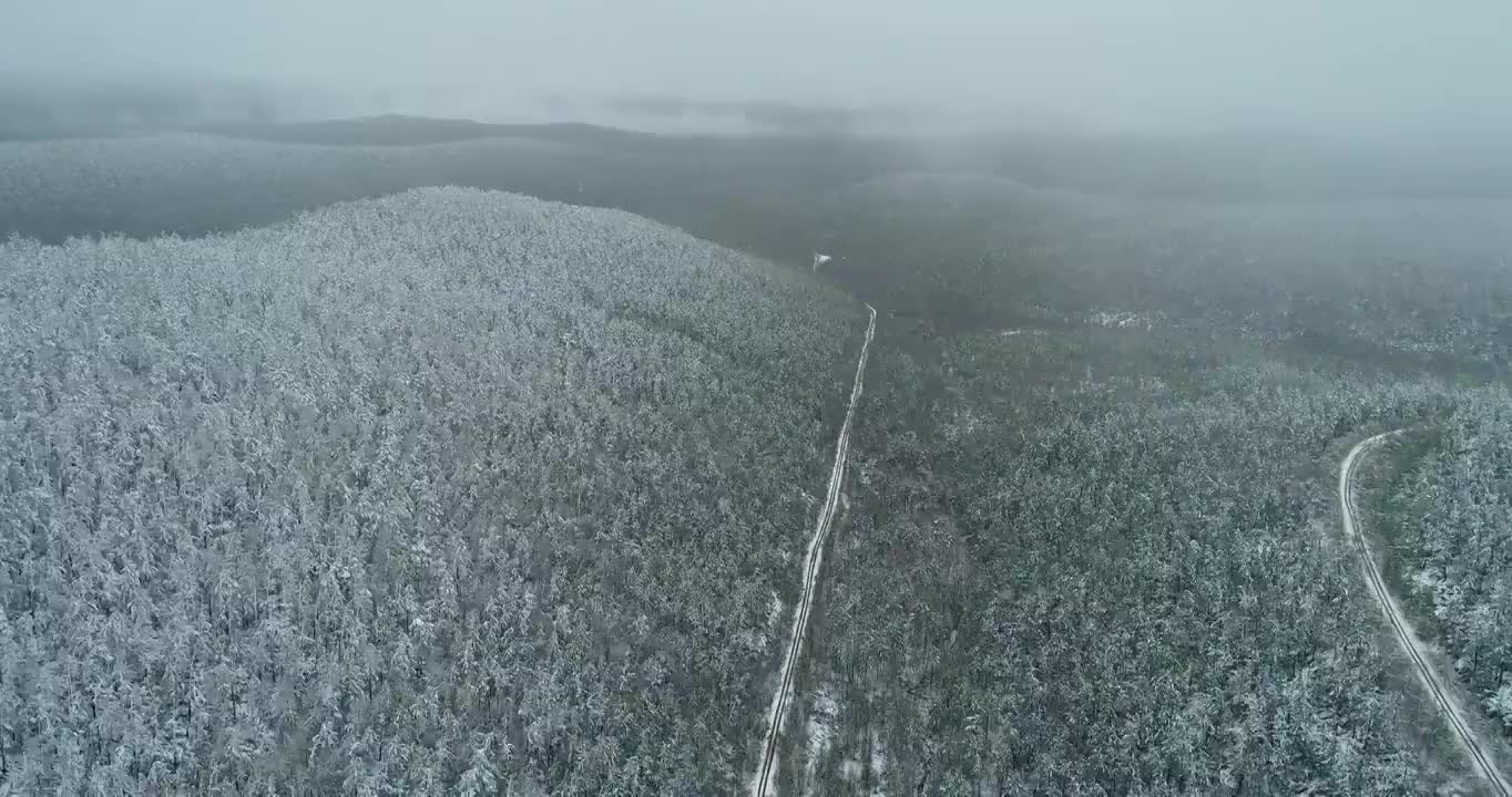 航拍大兴安岭春季极端天气降雪山林雪路视频素材