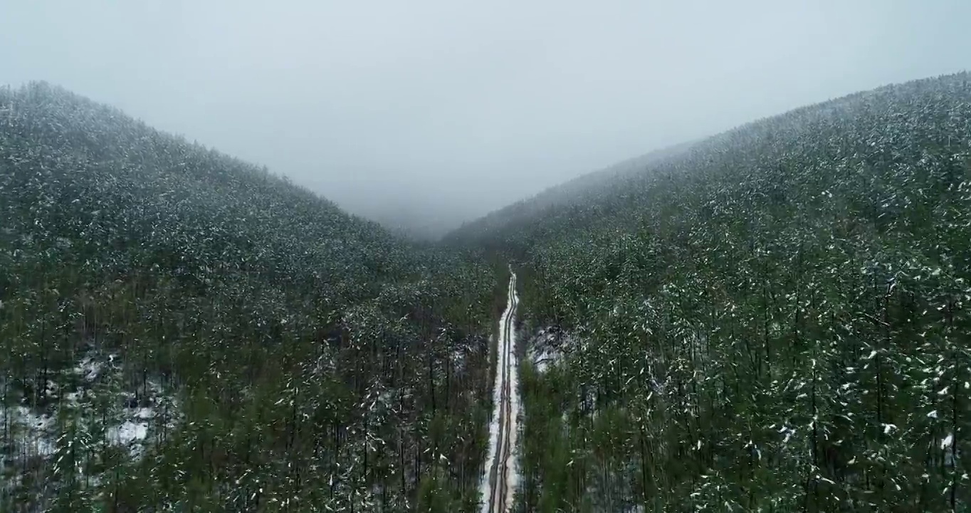 航拍大兴安岭春季极端天气降雪山林雪路视频素材