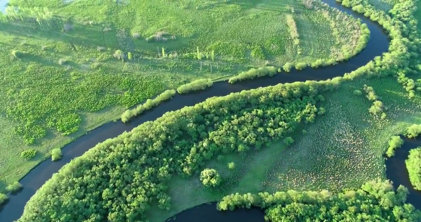 航拍呼伦贝尔水源地扎敦河湿地风光视频素材