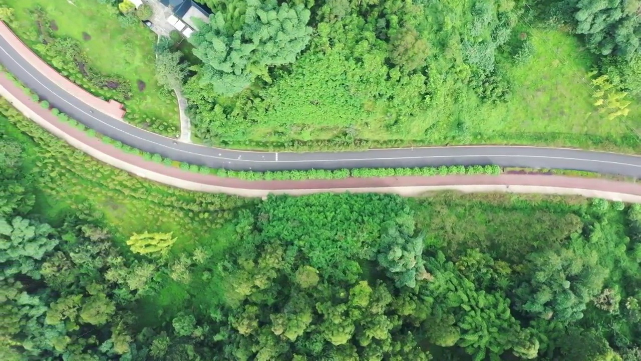 四川乐山绿心公园视频素材