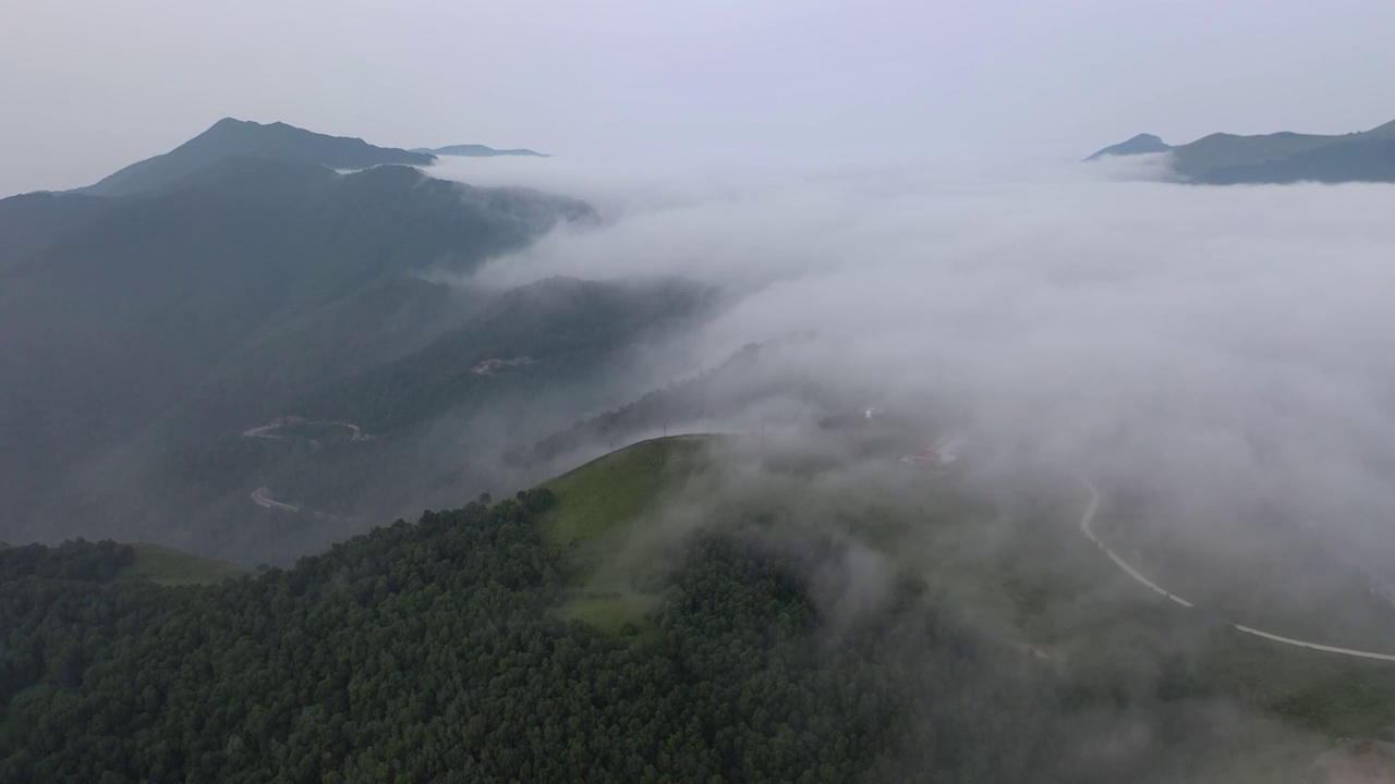 航拍北京灵山高山夏季云海风光视频素材