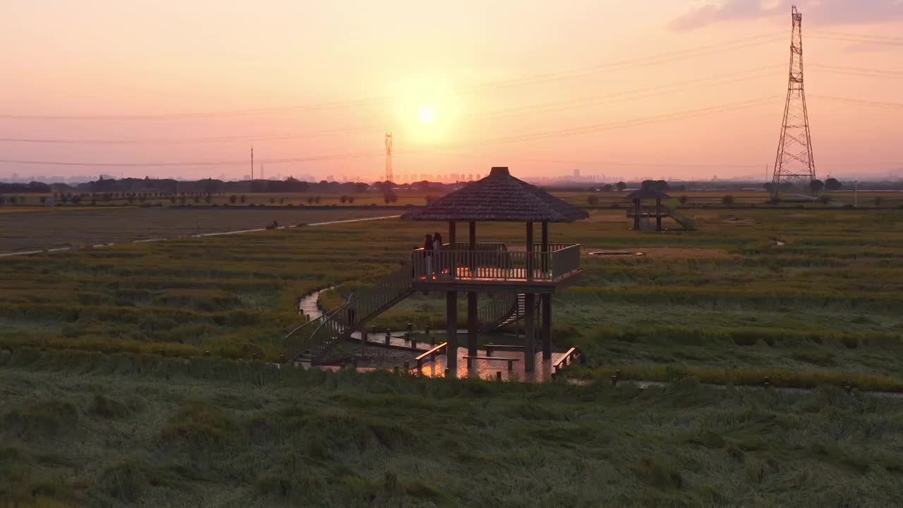 苏州园区澄湖农业示范区航拍风景视频素材