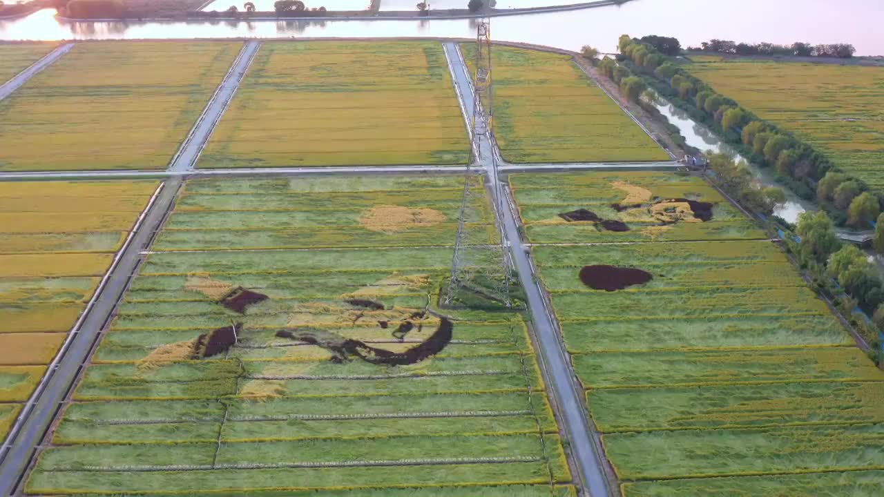 苏州园区澄湖农业示范区航拍风景视频素材