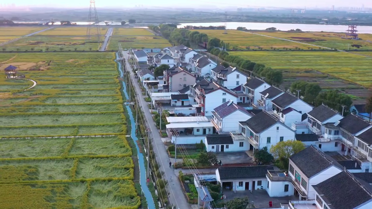 苏州园区澄湖农业示范区航拍风景视频素材