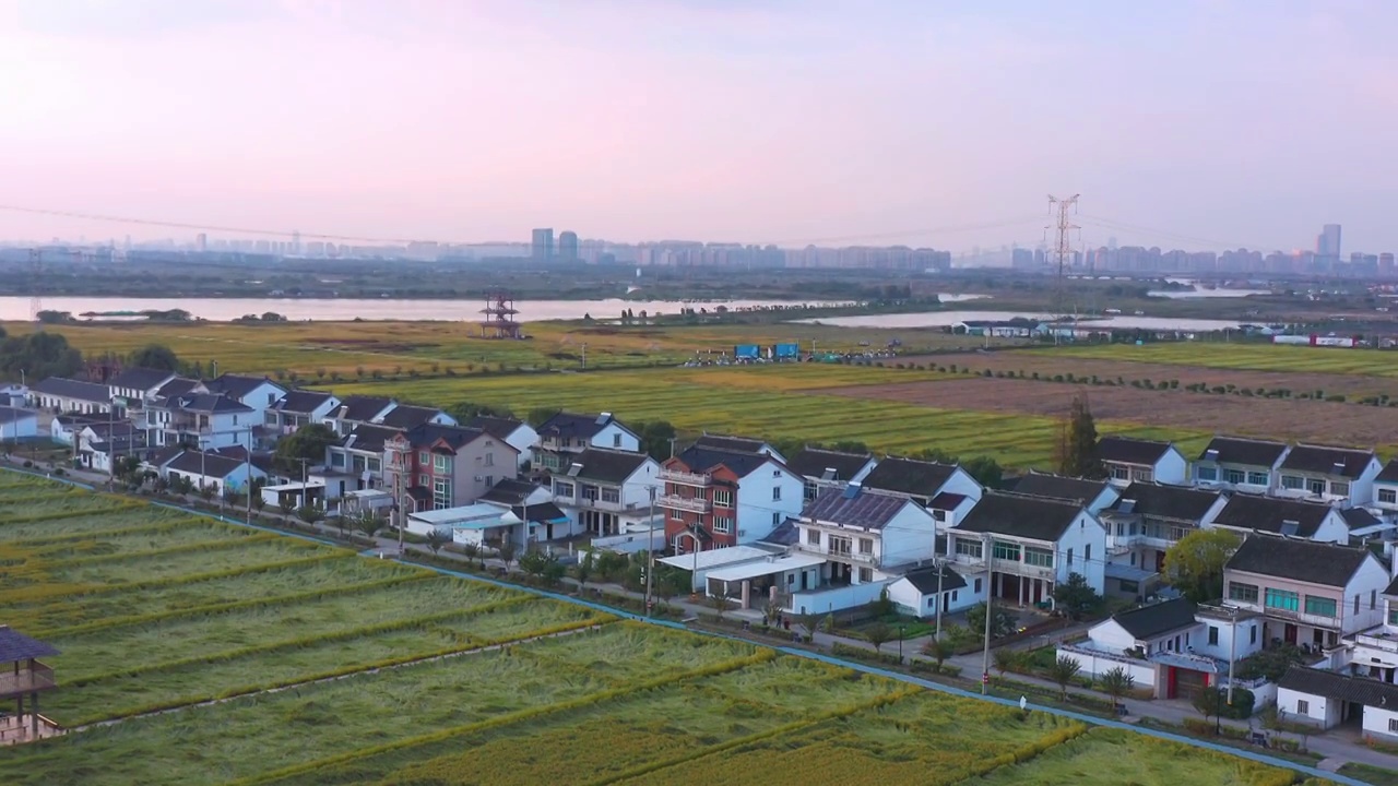 苏州园区澄湖农业示范区航拍风景视频素材