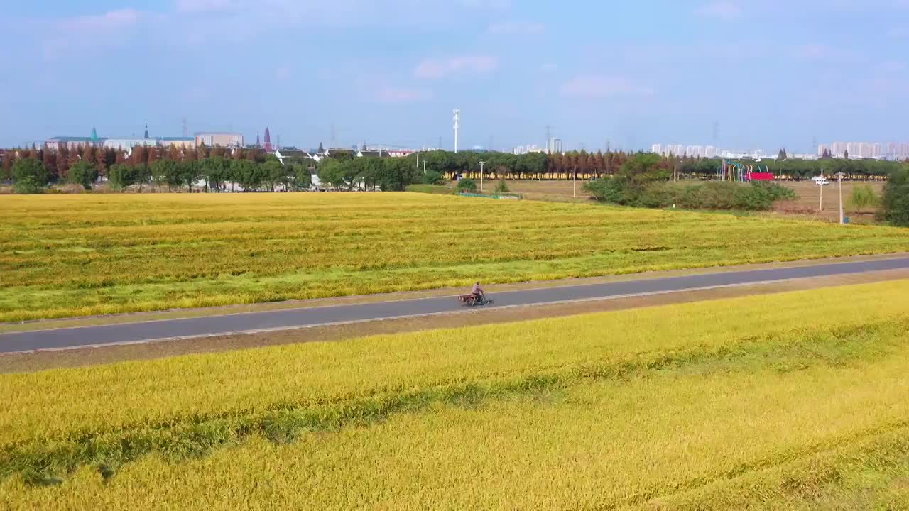 苏州园区澄湖农业示范区航拍风景视频素材