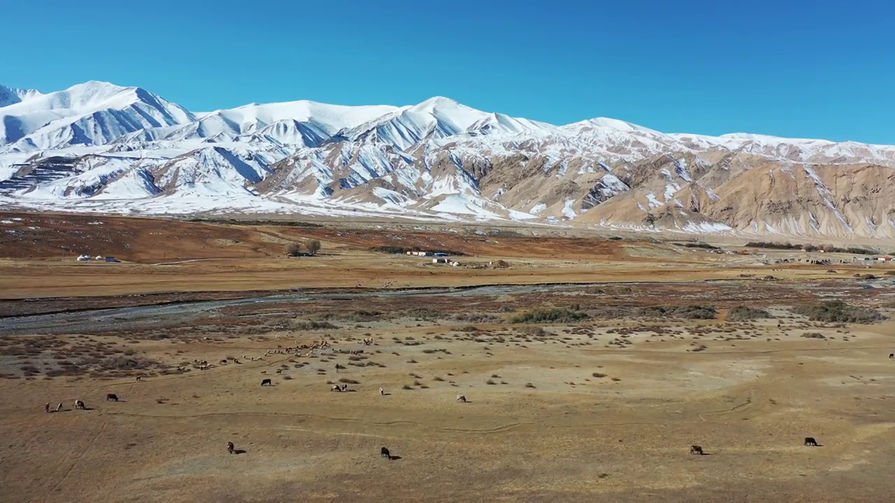 大美新疆：航拍新疆帕米尔高原的雪山，河流，草地，羊群，冻土视频素材