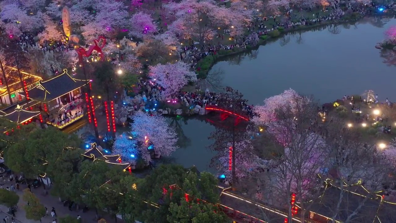 东湖樱花节夜景视频素材