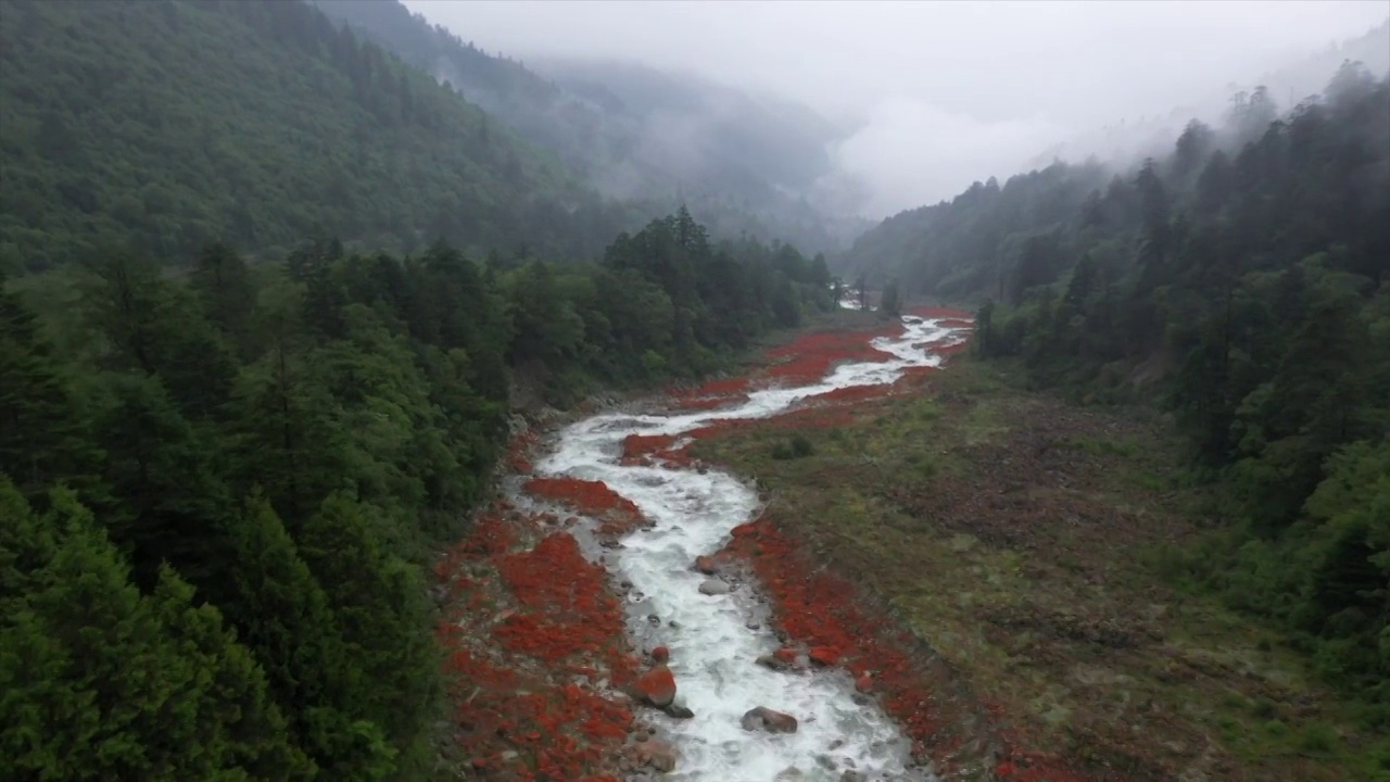 四川甘孜燕子沟红石滩公园视频素材