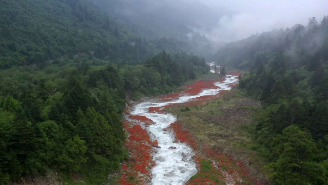 四川甘孜燕子沟红石滩公园视频素材