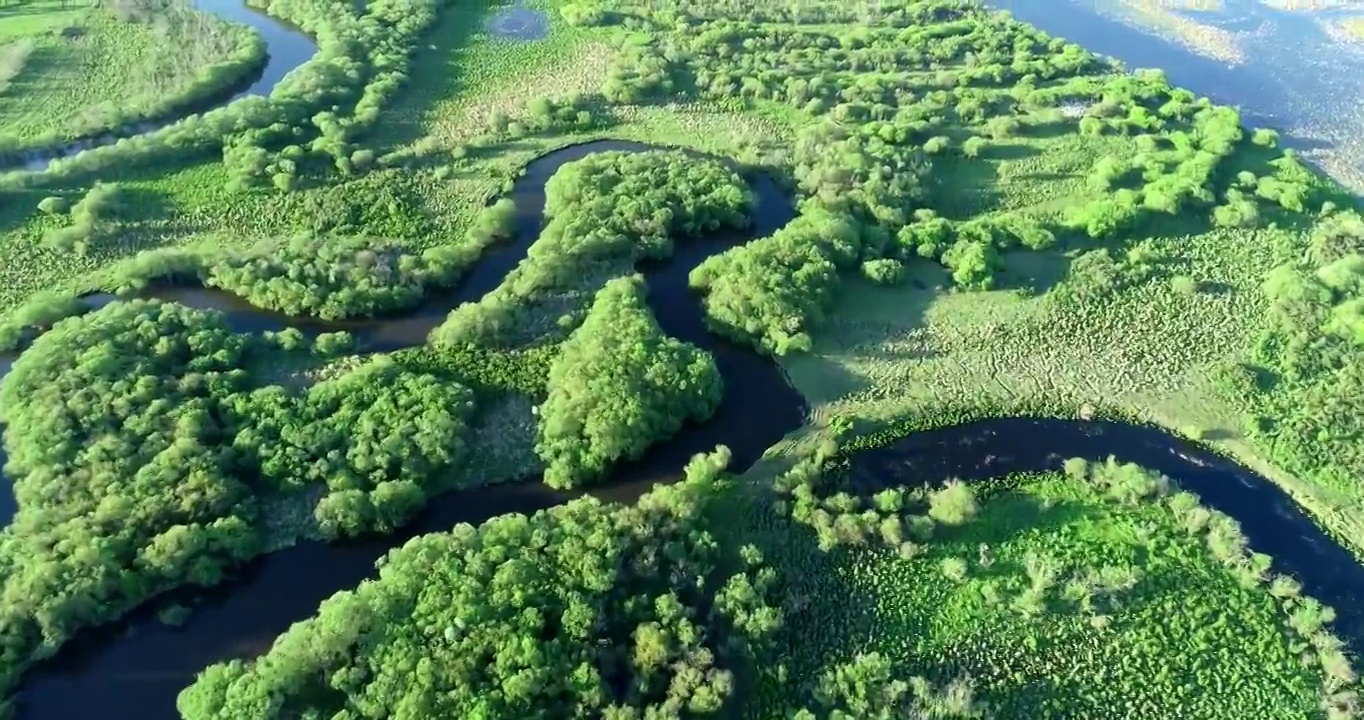 航拍内蒙古扎敦河湿地绿树河湾风景视频素材