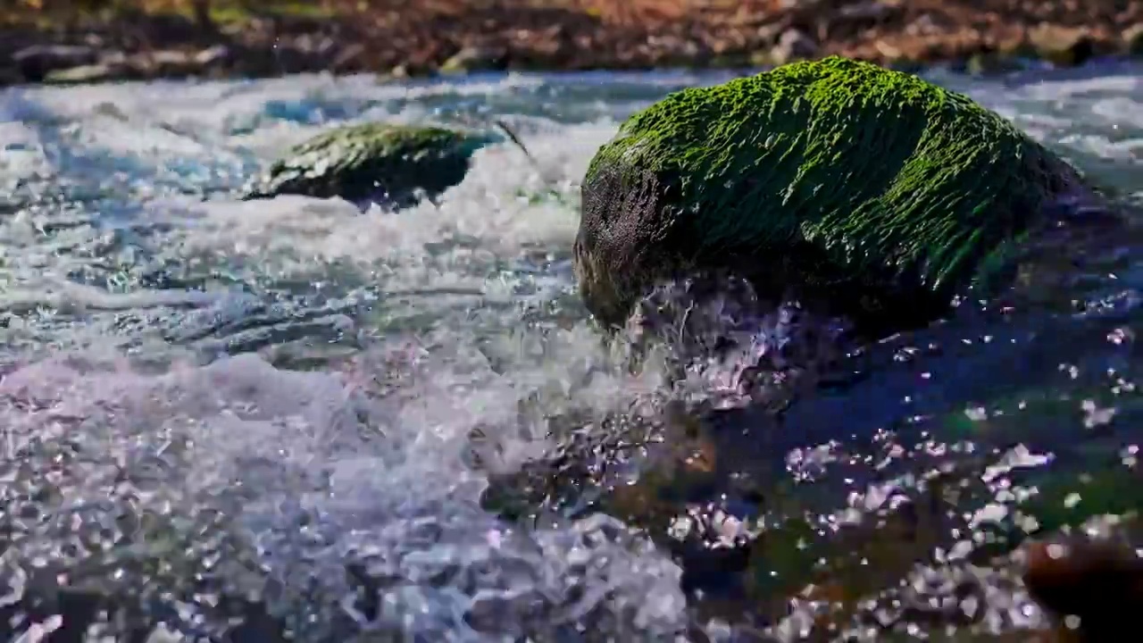 水泉水河流河水山泉水酒酿酒溪流泉水视频素材