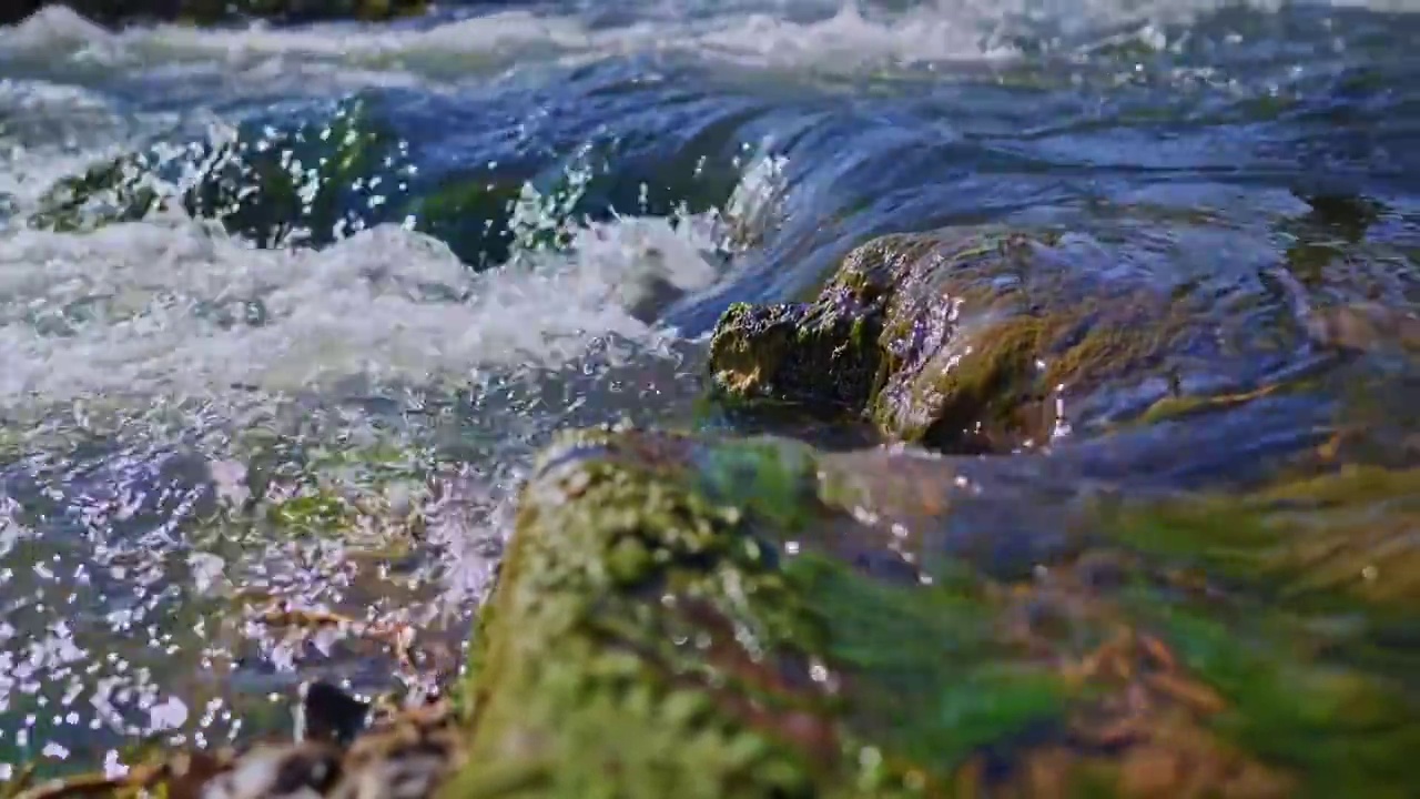 水泉水河流河水山泉水酒酿酒溪流泉水视频素材