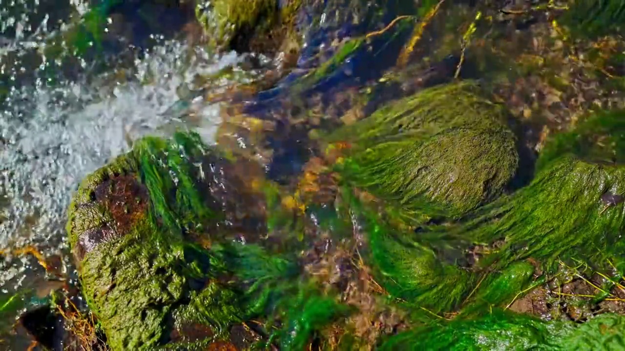 水泉水河流河水山泉水酒酿酒溪流泉水视频素材