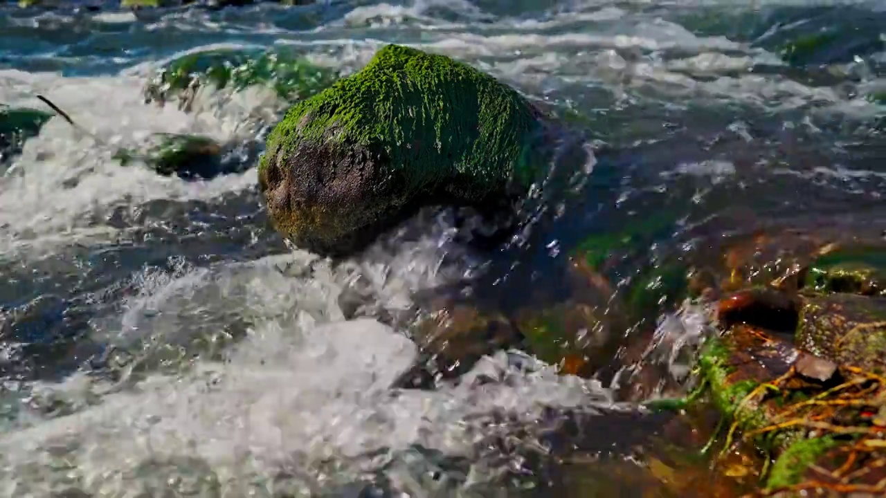 水泉水河流河水山泉水酒酿酒溪流泉水视频素材