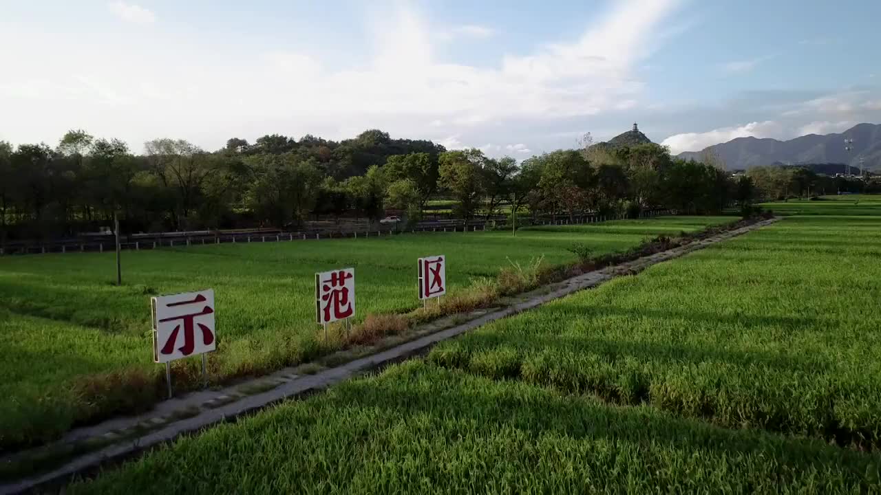 永久基本农田示范区4K航拍视频视频素材