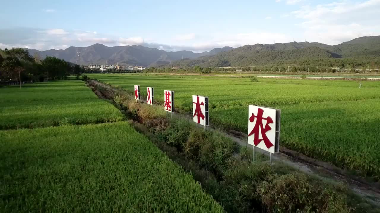 永久基本农田示范区4K航拍视频视频素材