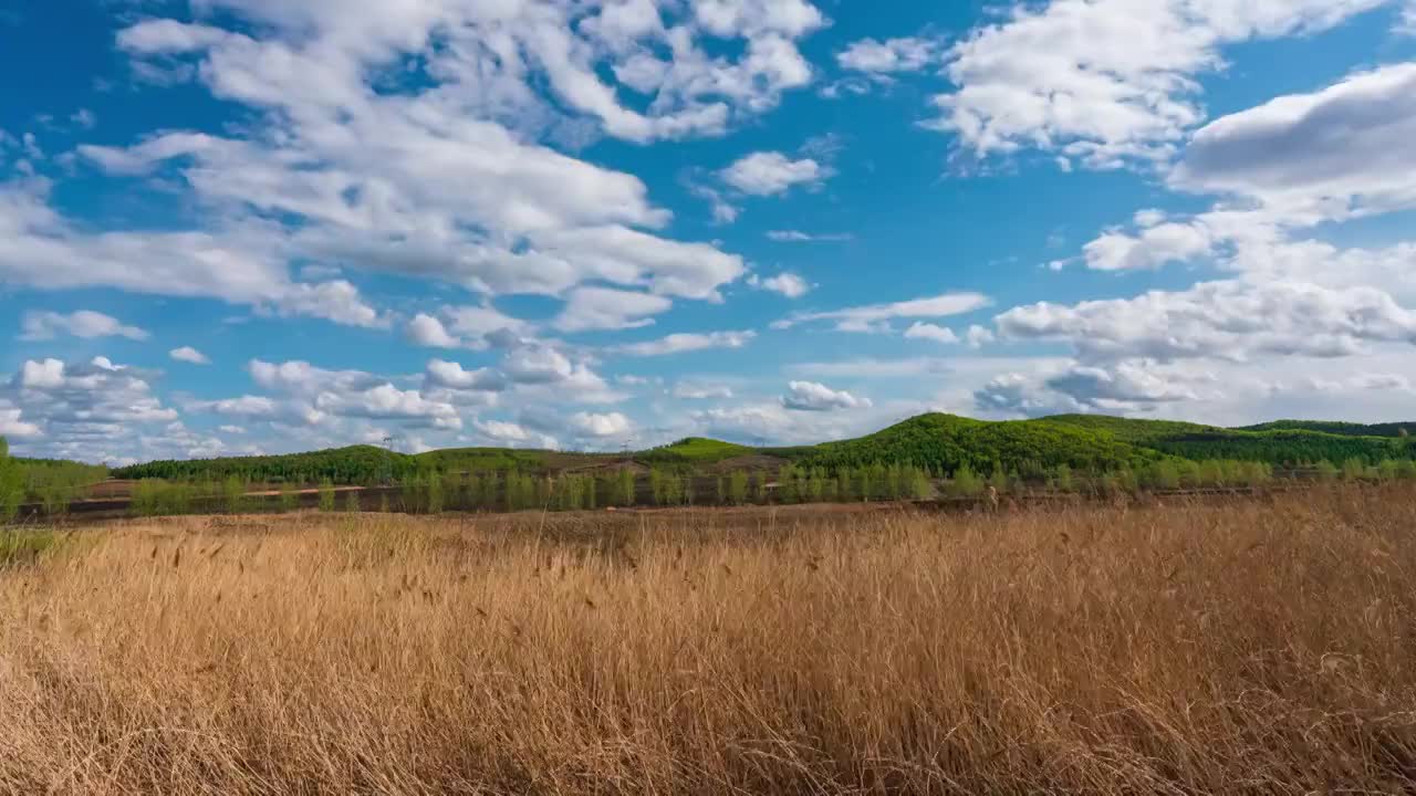 五隊草地延時视频素材