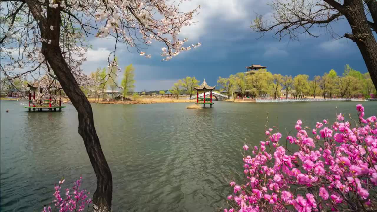 玄武湖延時视频素材