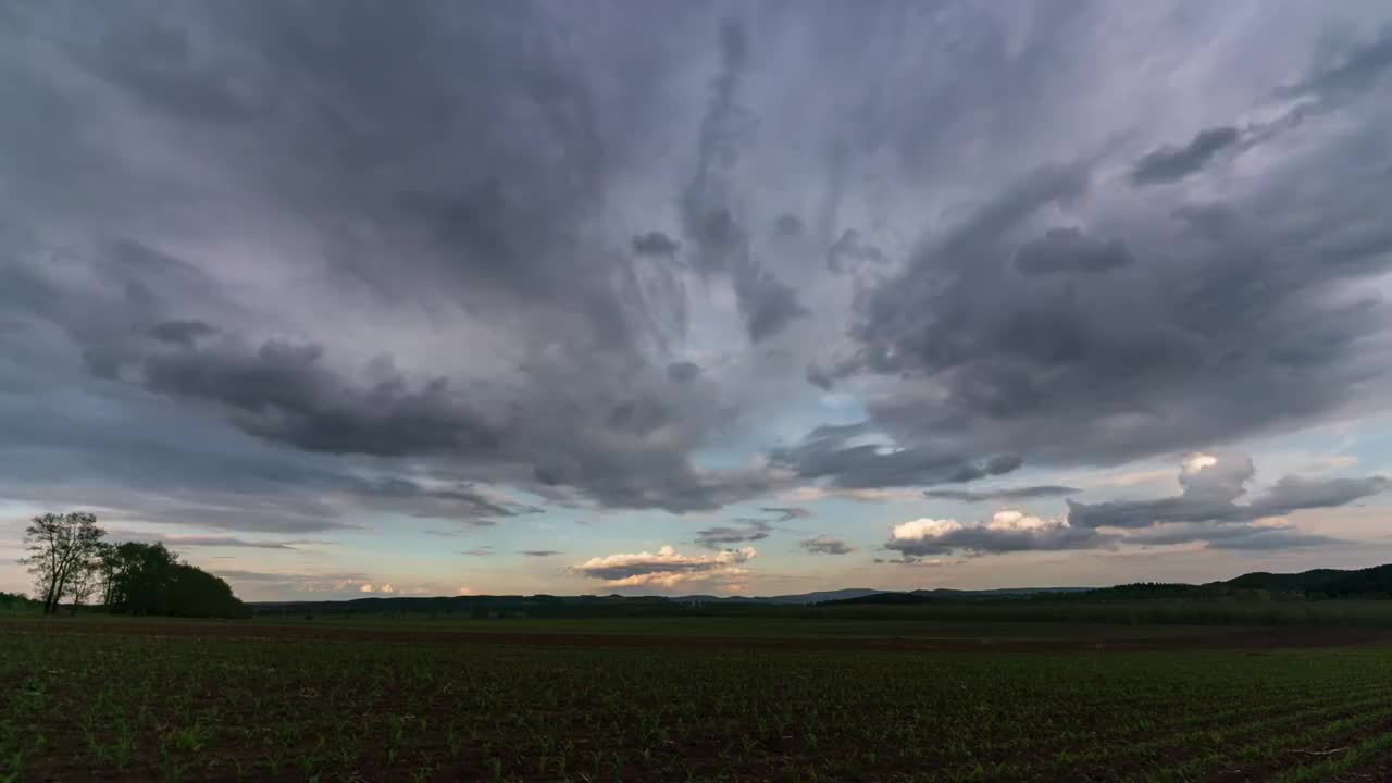 玉米地的雲视频素材