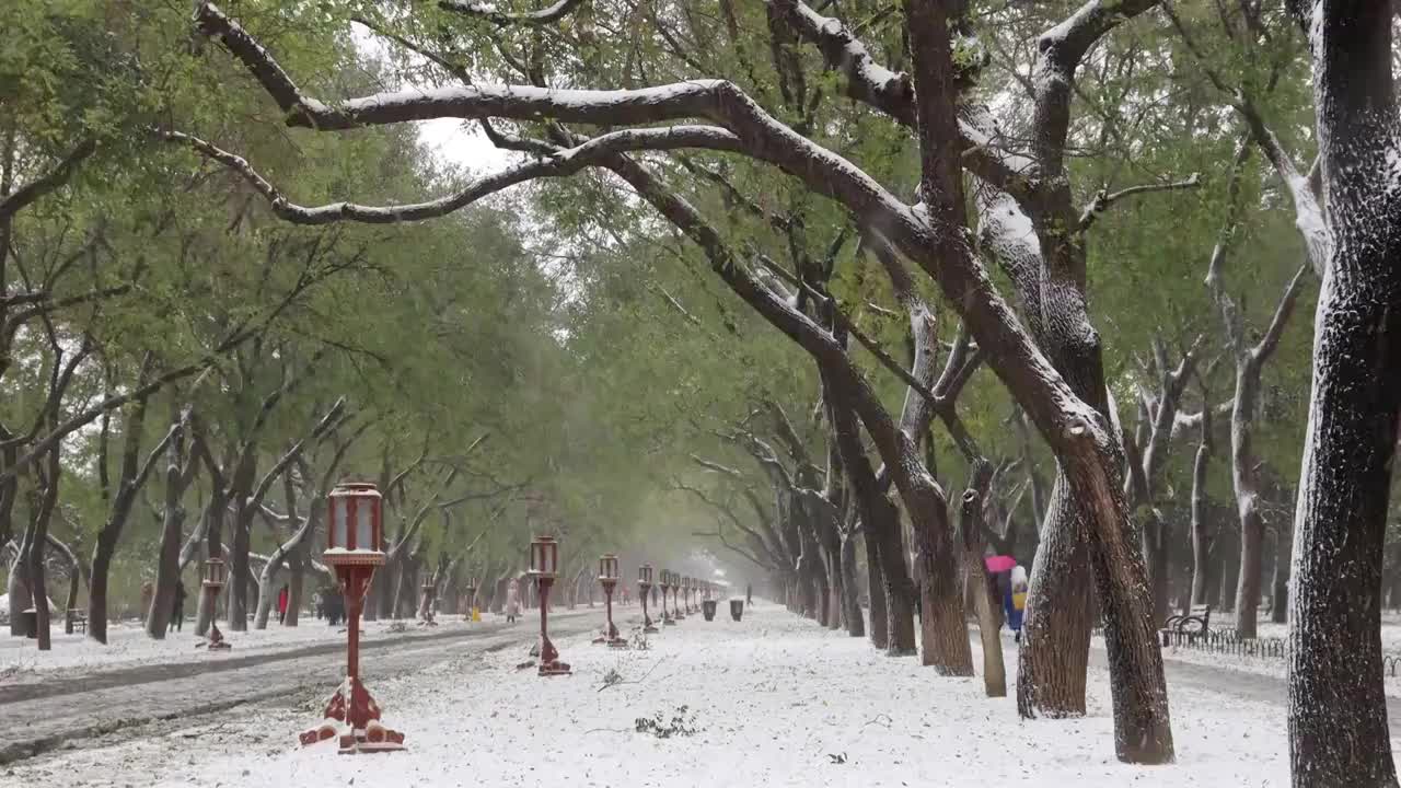 风雪中的天坛视频素材