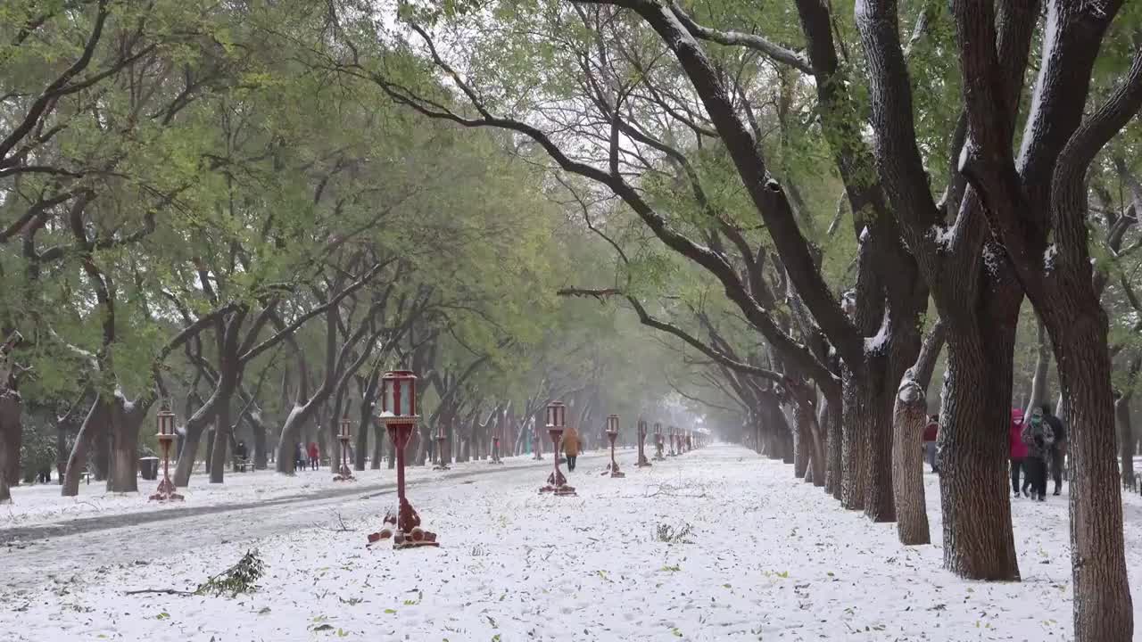 风雪中的天坛视频素材