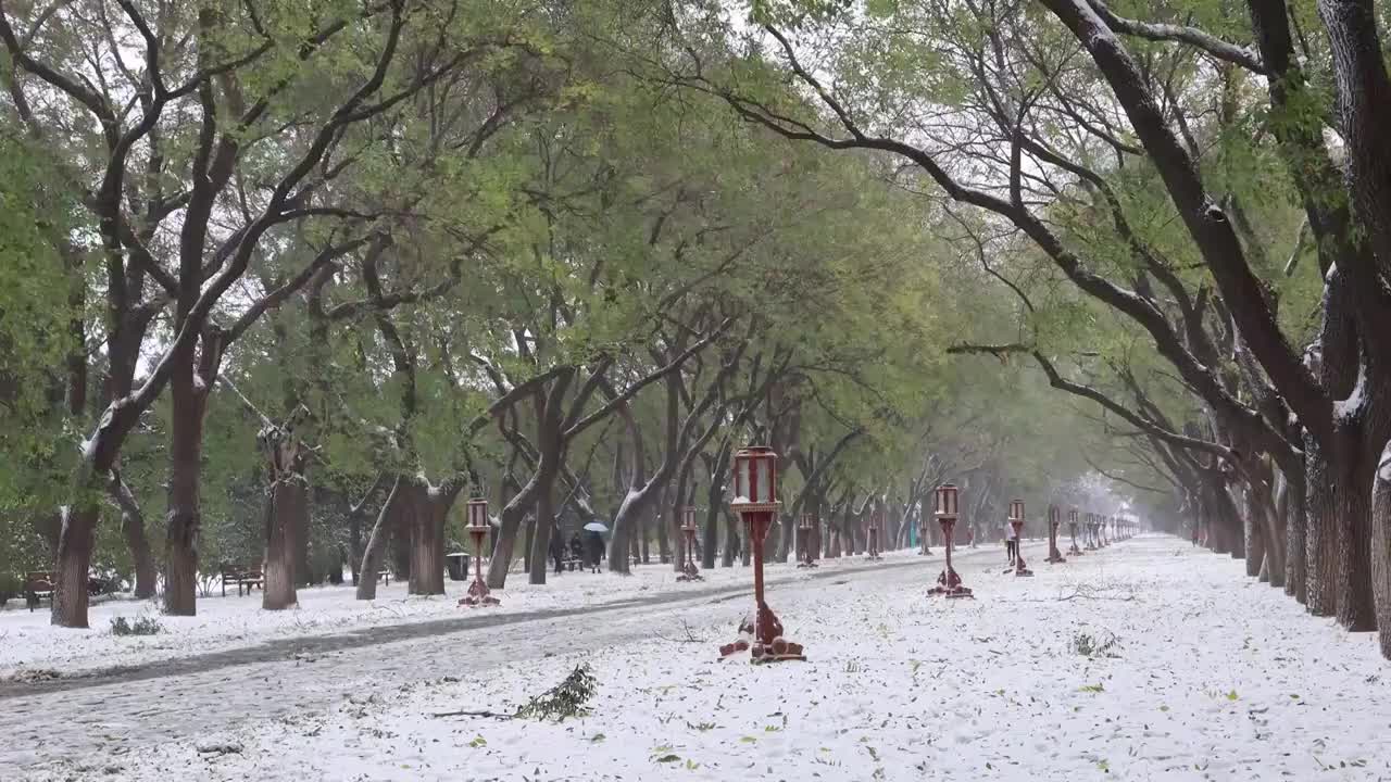 风雪中的天坛视频素材