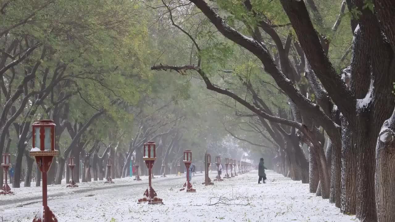 风雪中的天坛视频素材