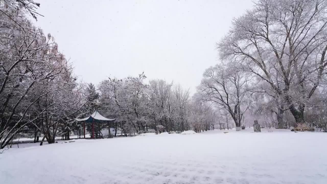 寧安公園的大雪视频素材