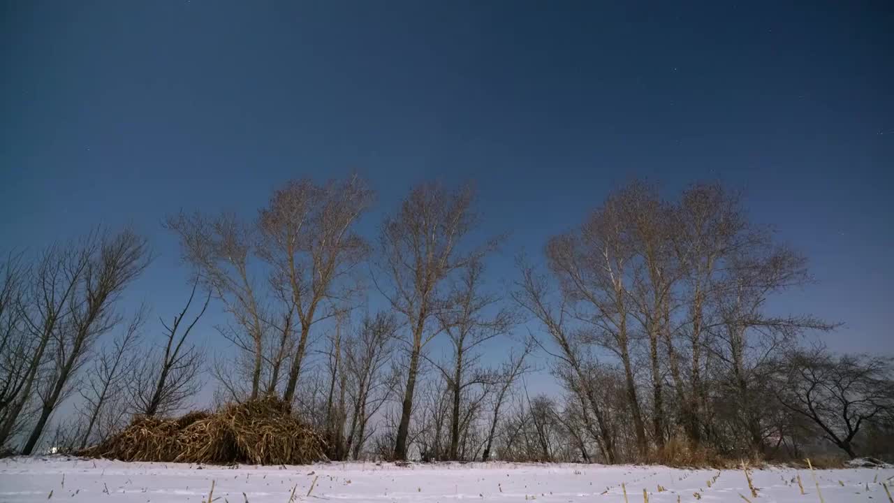 樹林星空视频素材