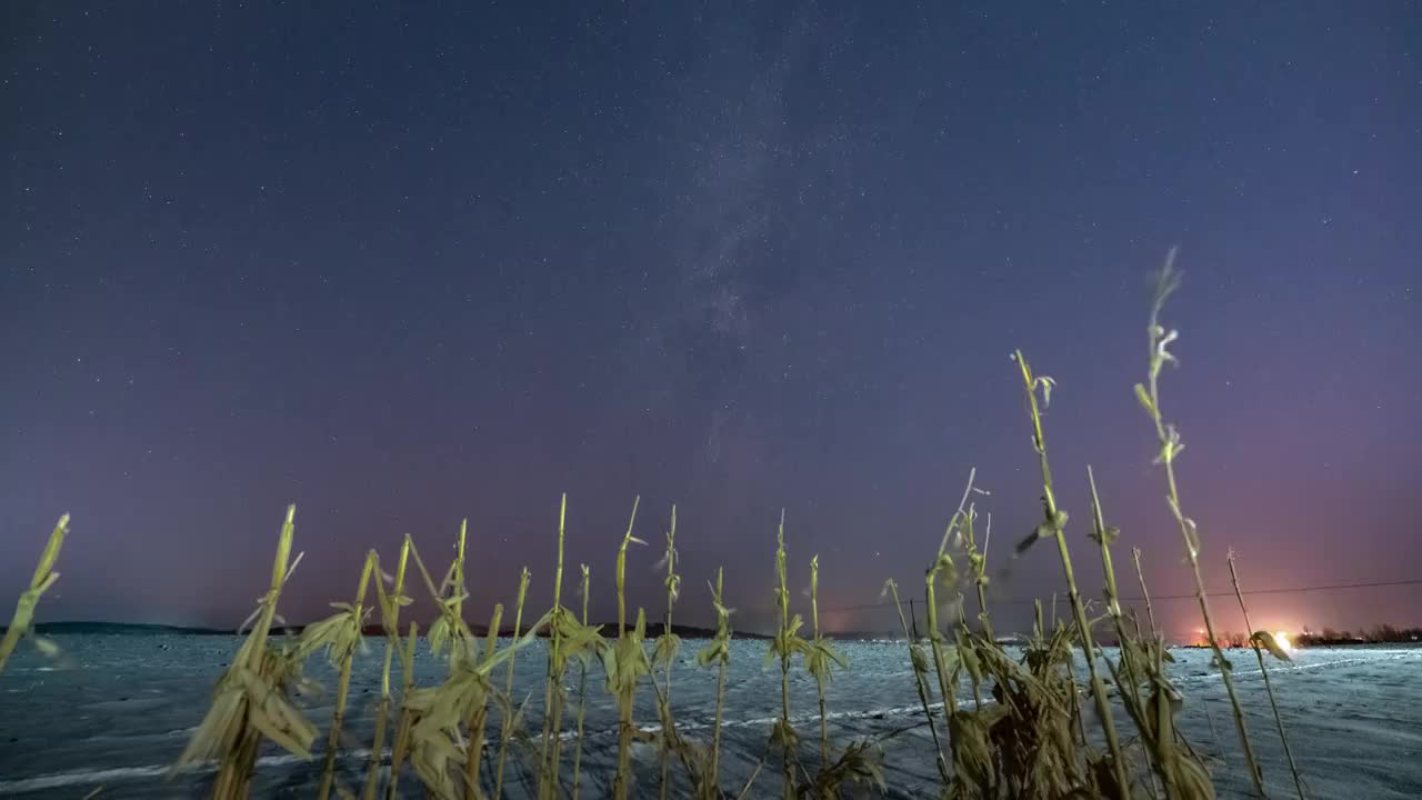 玉米桿星空视频素材